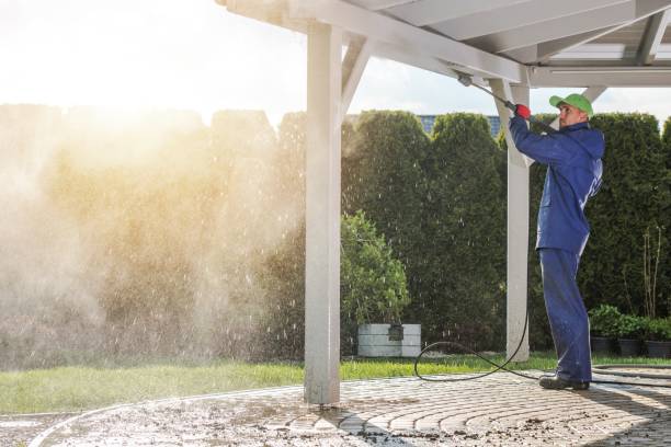 Trusted Brookwood, AL Pressure Washing Services Experts