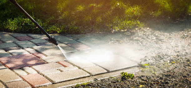 Best Solar Panel Cleaning  in Brookwood, AL
